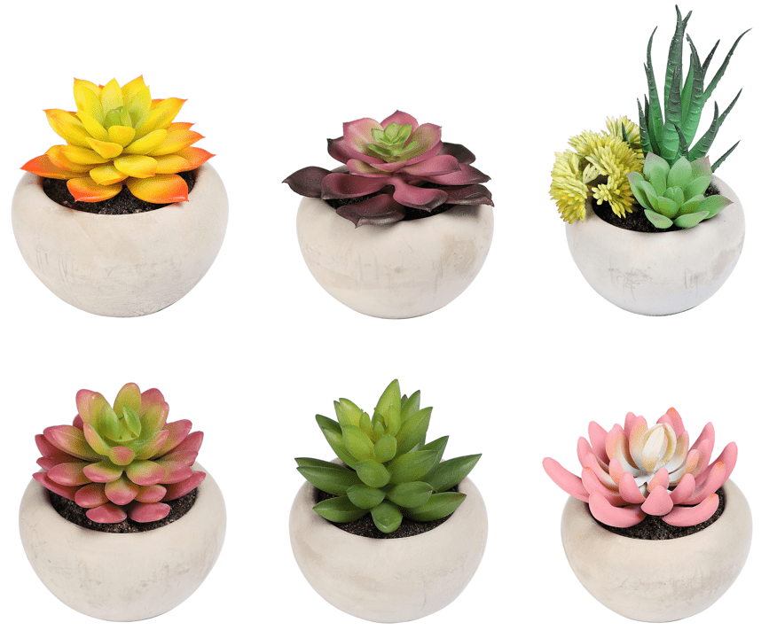 Mainstays Assorted 4" Artificial Succulent Plants in Cement Pots