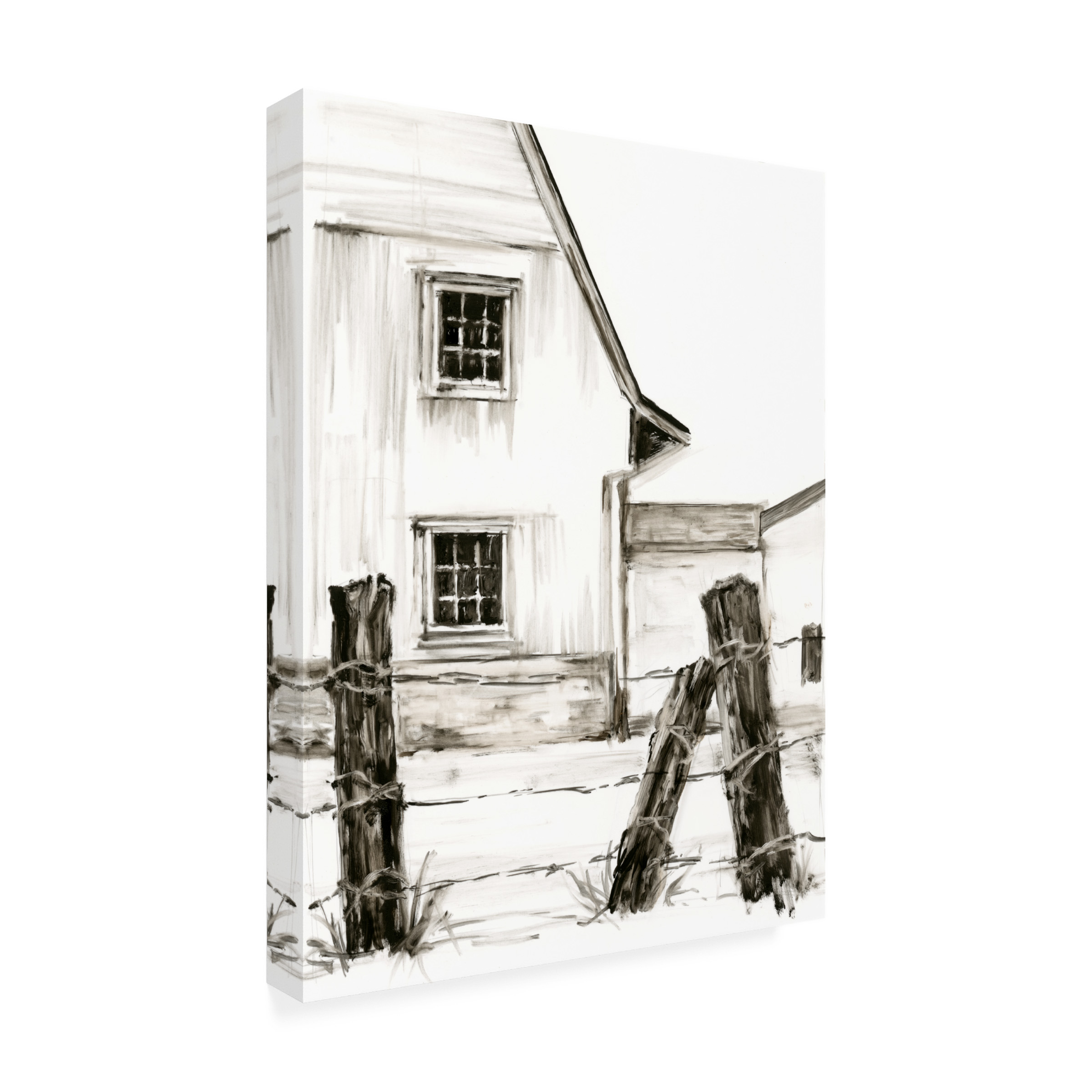 Ethan Harper 'Rustic Barbed Wire I' Canvas Art