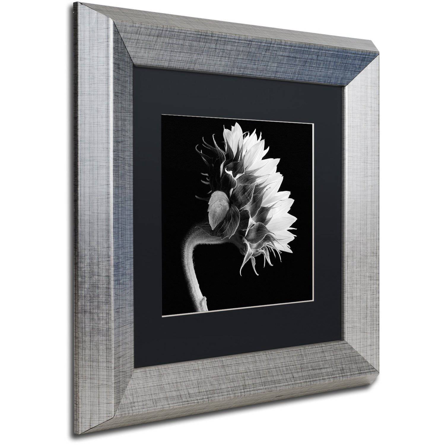 Michael Harrison 'Sunflower' Black Matted Framed Art