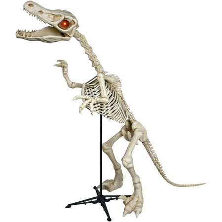 6 ft. Standing Skeleton Raptor with LED Illuminated Eyes Halloween Decoration