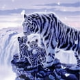 thumbnail image 2 of CafePress - White Tigress And Her Cubs 3.5 Button - 3.5" Button, 2 of 3