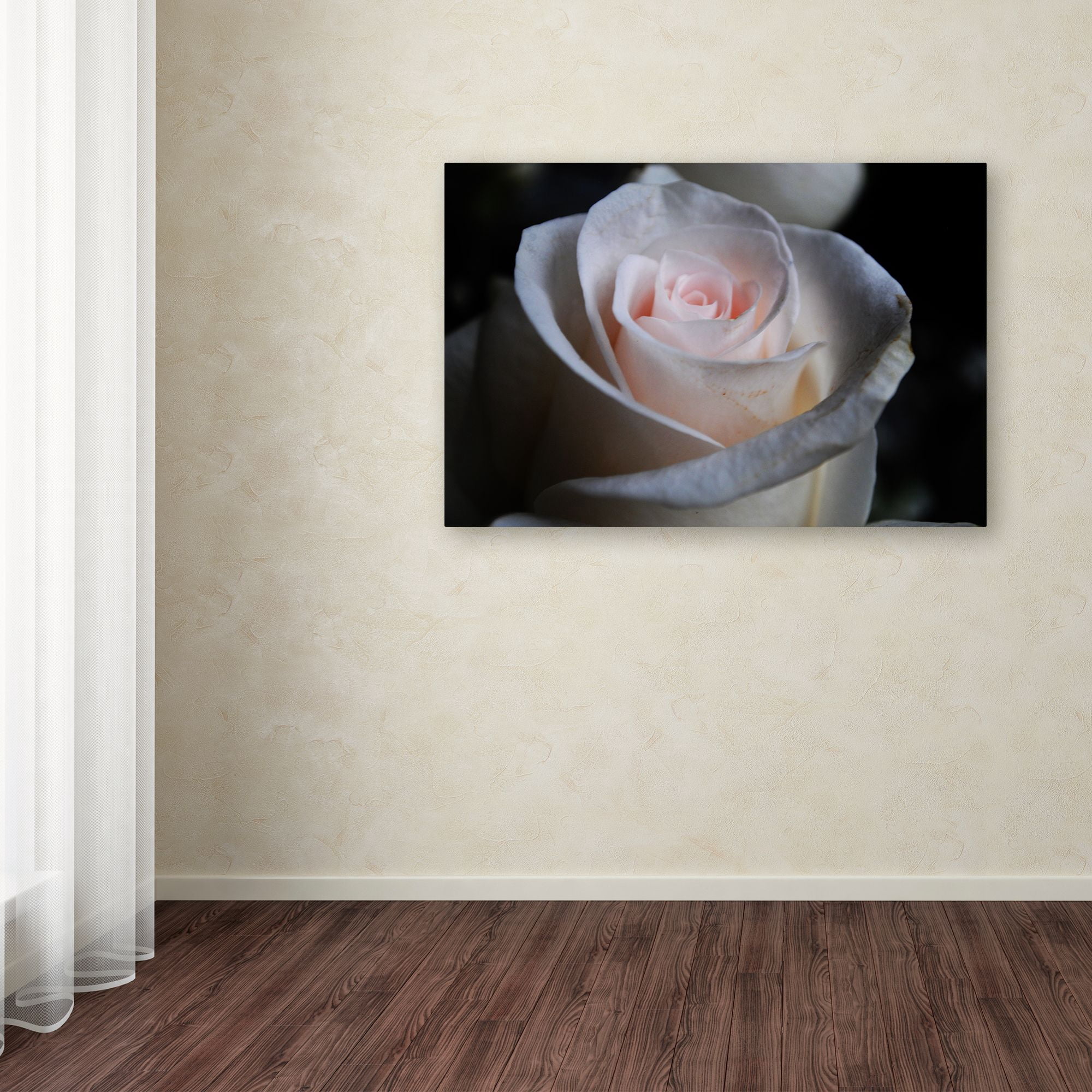 Trademark Fine Art "Loyal Star" Canvas Art by Monica Mize