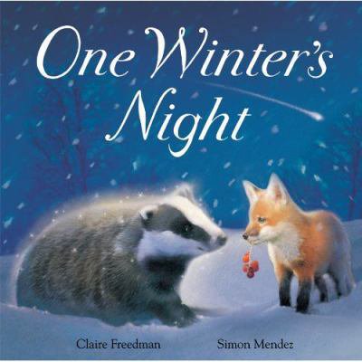 Pre-Owned One Winter's Night (Hardcover) 1848950136 9781848950139