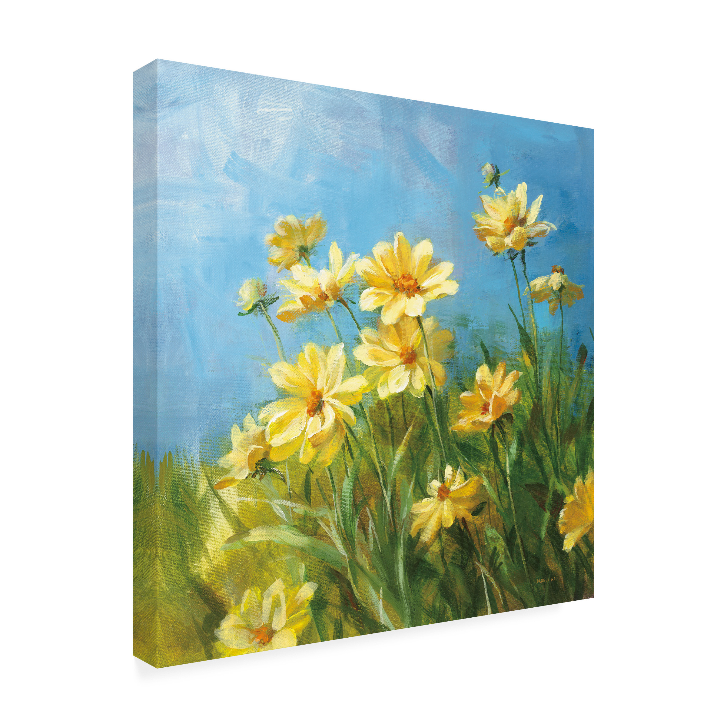 Trademark Fine Art 'Summer Field I' Canvas Art by Danhui Nai