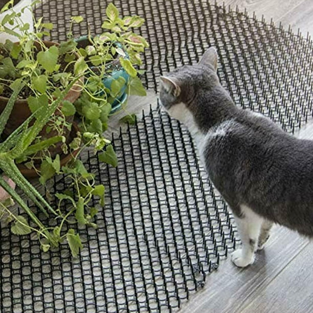 Dog dig deterrent sales