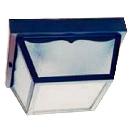 - Acclaim Lighting Builders Choice 2 Light Outdoor Ceiling Mount Light Fixture