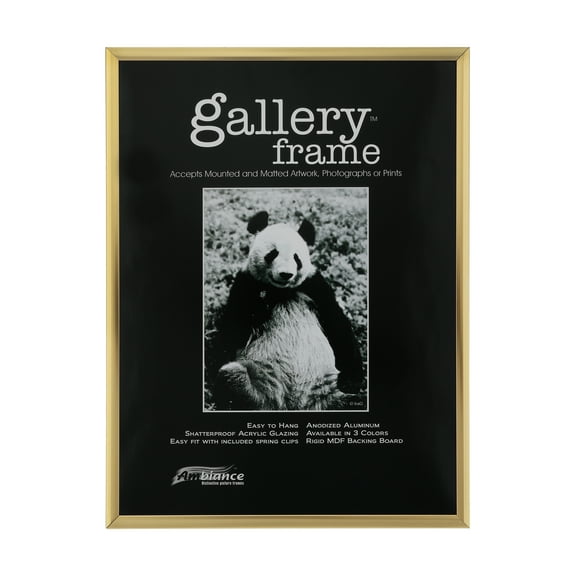 Ambiance Gallery Aluminum Picture Frame - Parent