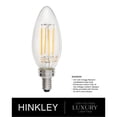 thumbnail image 3 of Hinkley Lighting - Carson - 3 Light Medium Outdoor Orb Hanging Lantern in, 3 of 20