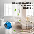 thumbnail image 5 of MOUNTO Mover de aire de 1/5 hp - Ventilador de 800 cfm para alfombras, secado y enfriamiento de pisos - Mover de aire compacto de 3 velocidades con salida doble, cable de alimentación de 10 pies, 5 of 5