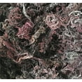 thumbnail image 4 of Purple Sea Moss | Irish Moss | Wildcrafted from St. Lucia | 100% Natural | Makes Over 100oz Seamoss Gel - 8oz, 4 of 5