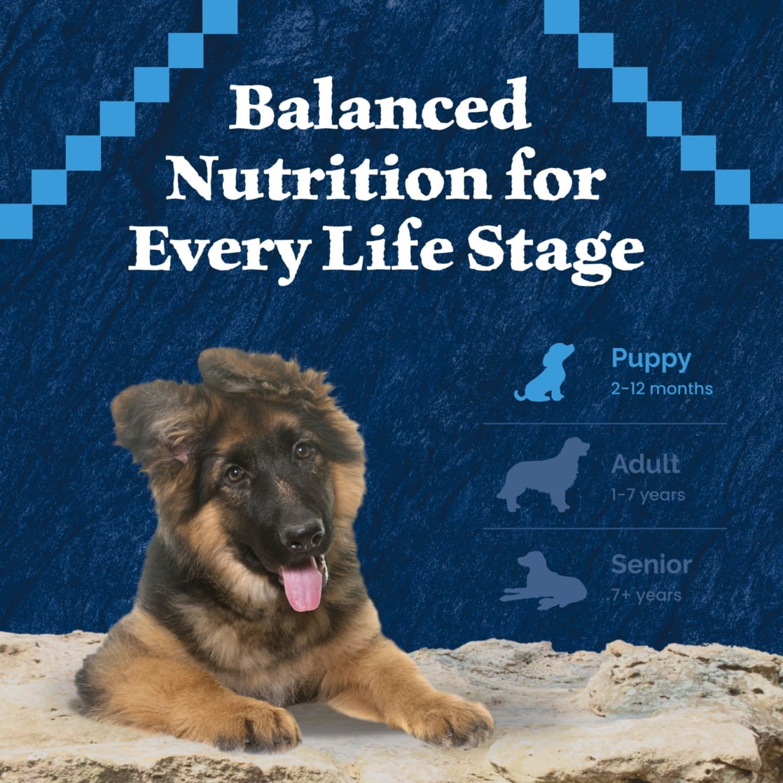 Blue Buffalo Wilderness High-Protein Puppy Dry Dog Food, Chicken, 4.5-lb. Bag