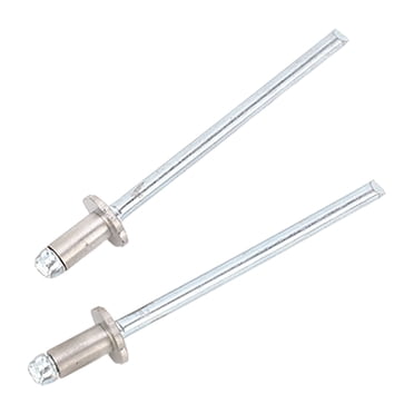 2 Pcs Rosette Rivets Stainless Steel Rosette Pop Rivets Replacement for Ford AMC VIN Door Tags