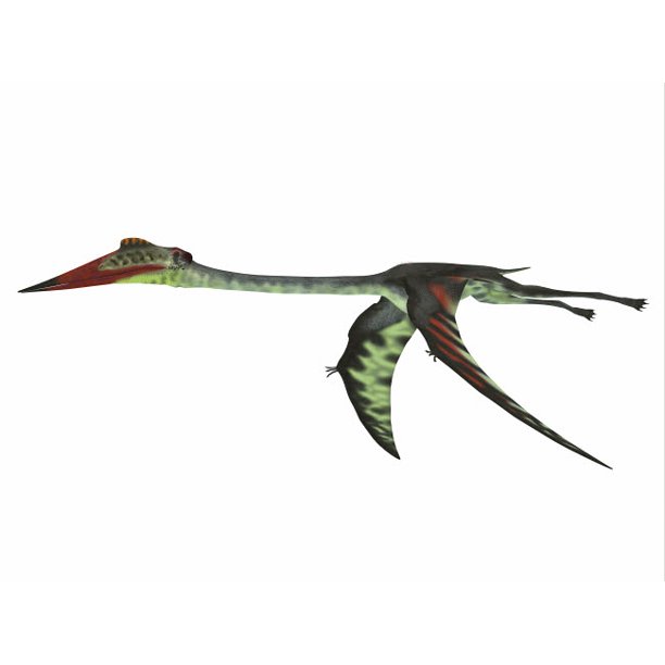 flying reptile quetzalcoatlus