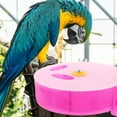 thumbnail image 4 of PENIKOKO Bird Foraging Box Parrot Feeding Bowl Plastic 1Set, 4 of 5