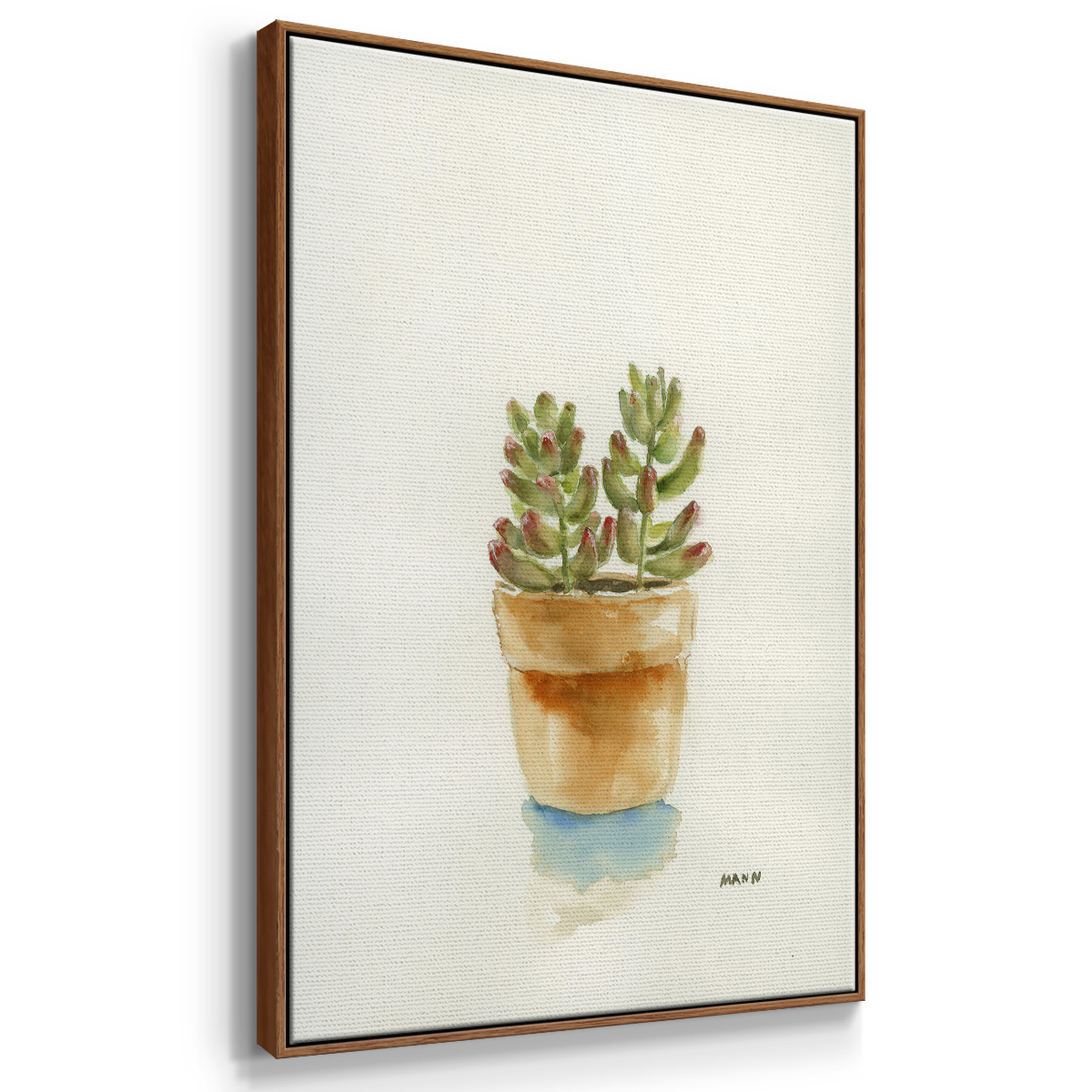 Succulent III Framed Premium Gallery Wrapped Canvas - Ready to Hang - 17 x 25 - Walnut Floating Frame