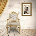 thumbnail image 3 of Putman, Tammy 13x18 Gold Ornate Wood Framed with Double Matting Museum Art Print Titled - Vintage Horse I, 3 of 4