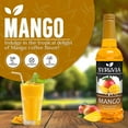thumbnail image 2 of Syruvia Mango Syrup Pure Cane Coffee Flavoring Syrup, 25.4 fl Oz With Pump, 2 of 6
