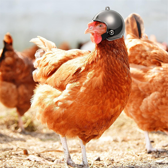 10PCS Pet Chicken Hat Hens Hat Chicken Hat Pet Safety Hat for Chicken Black