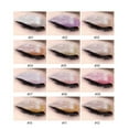 thumbnail image 4 of figatia Professional Diamond Sequin Liquid Eyeshadow long time lasting Eye Makeup 09, 4 of 9