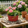 thumbnail image 4 of Shallow Succulent Plant Pots, Shallow Planter with Tray and Drainage Holes, Decorative Plastic Planters for Indoor and Outdoor Gardening, Succulent pots for Succulents Cactus and Herbs, 4 of 6