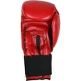 Ringside Extreme Fitness Boxing Gloves Large Red