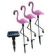 thumbnail image 5 of 3 Piezas Flamingo Paisaje Luz Resistente Energía Solar Para Jardín Césped, 5 of 7
