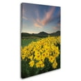 thumbnail image 2 of Trademark Fine Art 'Methow Valley Wildflowers I' Canvas Art by Alan Majchrowicz, 2 of 3