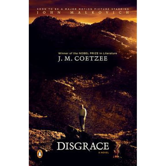 Pre-Owned Disgrace: A Novel (Paperback) 0143115286 9780143115281