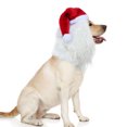 thumbnail image 2 of Christmas Costume for Dogs, Funny Pet Apparel for Halloween Christmas, Dog Clothing Accessories (Size M,Santa clause), 2 of 6