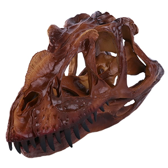 Scale 1/10 Model Skull Dinosaur Ceratosaurus Resin Education Tools Collection
