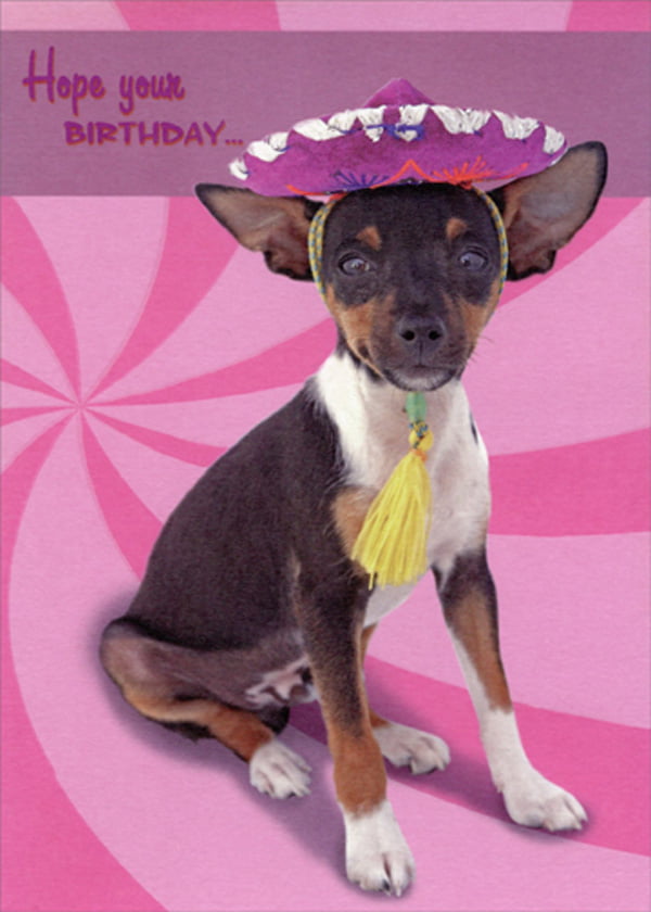 White Chihuahua Dog Birthday Customised Card 