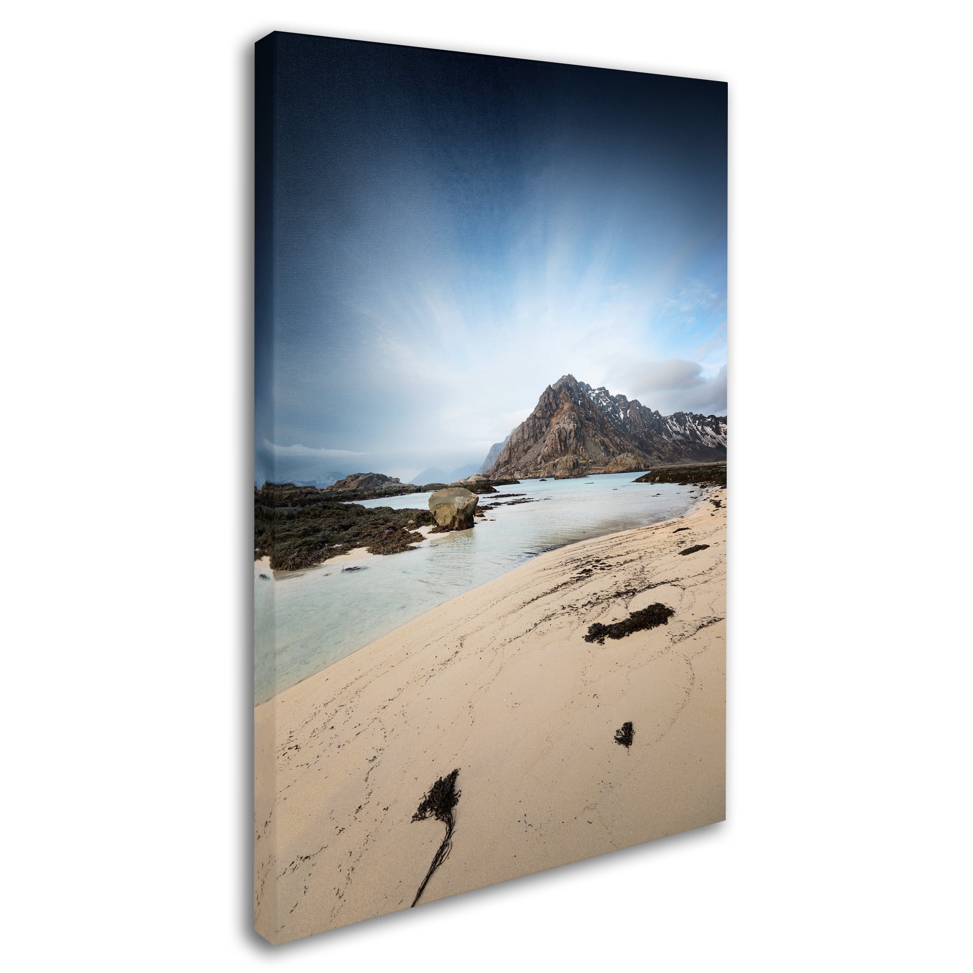 Trademark Fine Art "The Little Things" Canvas Art by Philippe Sainte-Laudy