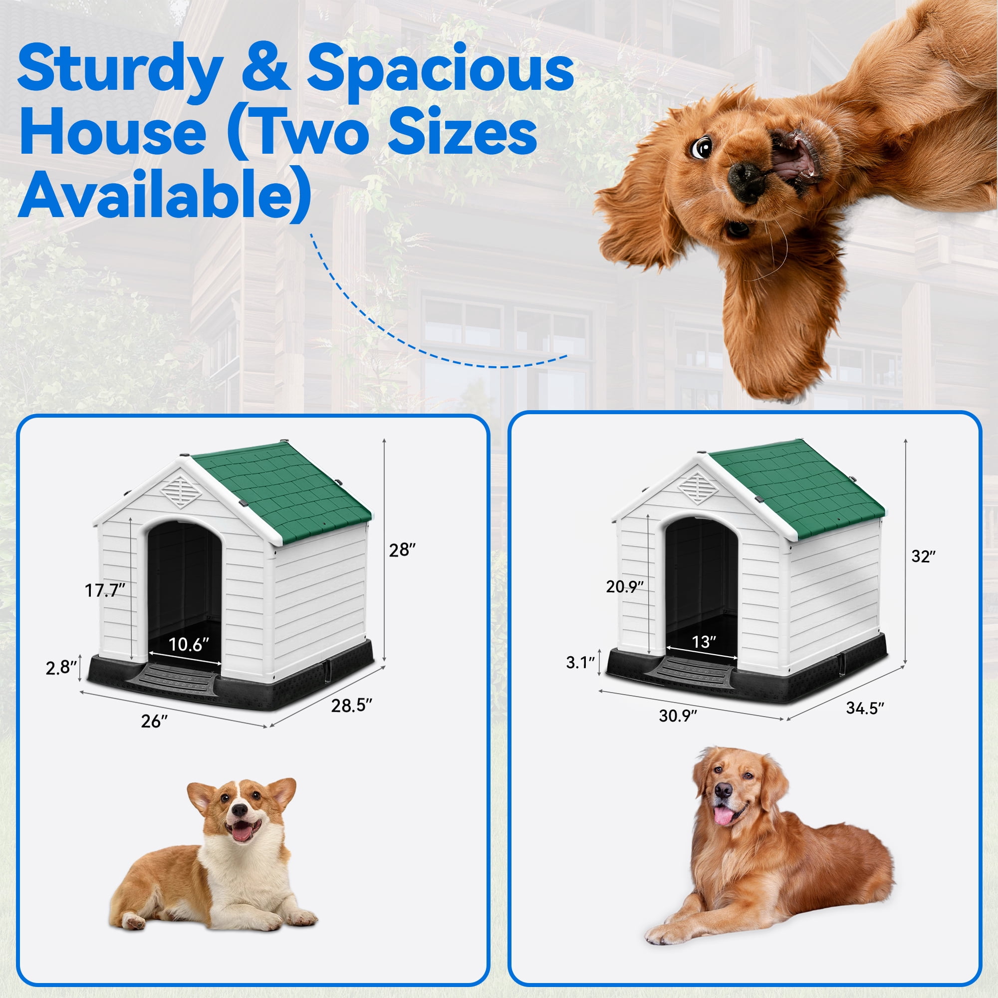 Dextrus Large Plastic Dog House with Air Vents and Elevated Floor,Water Resistant Dog Puppy Shelter for Indoor and Outdoor Use,Spacious and Durable(34.5''L x 30.9''W x 32''H,Green)