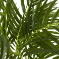 thumbnail image 2 of 3.5' Areca Palm UV Resistant (Indoor/Outdoor), 2 of 3