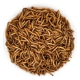 thumbnail image 6 of 10 oz Dried mealworms, 100% Natural Non-GMO Meal Worms for Birds, Chicken Treats for Laying Hens, 6 of 7