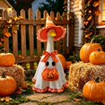 thumbnail image 4 of RUINIXCW Halloween Porch Goose Outfits for 23 inch Cement Plastic Goose Statue Accessories Holiday Porch Goose Clothes Ghost Dress Witch Hat Pumpkin Basket Set Yard Patio Lawn Art Decor (No Goose), 4 of 6