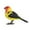 Light Yellow, variant on FANSHAYTTT Robot Bird Singing And Chirping Bird Toy Simulate The Chirping Of Birds Battery Operated Realistic Singing Chirping Birds For Home Decoration Light & Voice Control (Without Battry)