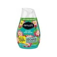 thumbnail image 7 of Merchandise 3184021 Renuzit Adjustables Air Freshener, After the Rain, 7.5 oz, 7 of 7