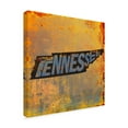 thumbnail image 2 of Trademark Fine Art 'Tennessee' Canvas Art by Art Licensing Studio, 2 of 3