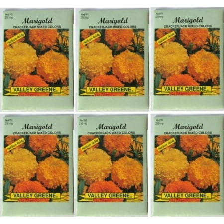 Knott Garden Valley Greene (6 Pack) Heirloom Variety Crackerjack Mixed Colors Marigold Seeds 250 mg/package Non GE Seeds ()