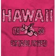 thumbnail image 2 of Hawaii Hibiscus Flower Distressed HI Unisex Plus Fleece Graphic Hoodie Brisco Brands 5X, 2 of 5