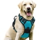 thumbnail image 3 of Rabbitgoo Arnés para Perros, Arnés para Mascotas sin Tirones con 2 Clips para Correa, Chaleco para Perros Acolchado Suave y Ajustable, Chaleco Oxford Reflectante para Mascotas sin asfixia con asa de f, 3 of 4