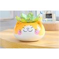 thumbnail image 4 of Cute Cartoon Animal Cat Shaped Ceramic Succulent Cactus Flower Plant Pots with B, 4 of 5