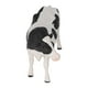 thumbnail image 4 of Juguete modelo de vaca, simulación sólida Modelo de vaca Simulación de juguete de vaca Modelo de vaca de simulación Diseñado con precisión, 4 of 8