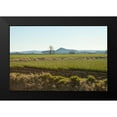 thumbnail image 2 of Styber, Dana 24x17 Black Modern Framed Museum Art Print Titled - Golden Greens, 2 of 5
