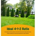thumbnail image 5 of The Andersons Core 24-6-12 Professional-Grade All-Purpose Lawn Fertilizer - 45 lbs. Covers up to15,500 sqft., 5 of 7