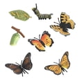 thumbnail image 1 of Ciclo de crecimiento de la mariposa Juguete educativo Estatuilla de Sunnimix Juguetes de crecimiento de insectos para niños, 1 of 8
