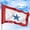 Blue Staar Family Flag, variant on American Red Crross Flag Outdoor Flag (3x5ft) by DreamController - Durable, Fade-Resistant Polyester, Double-Stitched, Brass Grommets - HD Printed Civilian Service Flag - Made in USA