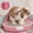 Pink, variant on Large Bunny Litter Box, Spill Proof Tip Proof Toilet for Rabbit Chinchilla Guinea Pig, Urine Waste Tray for Cage Blue Pink Yellow