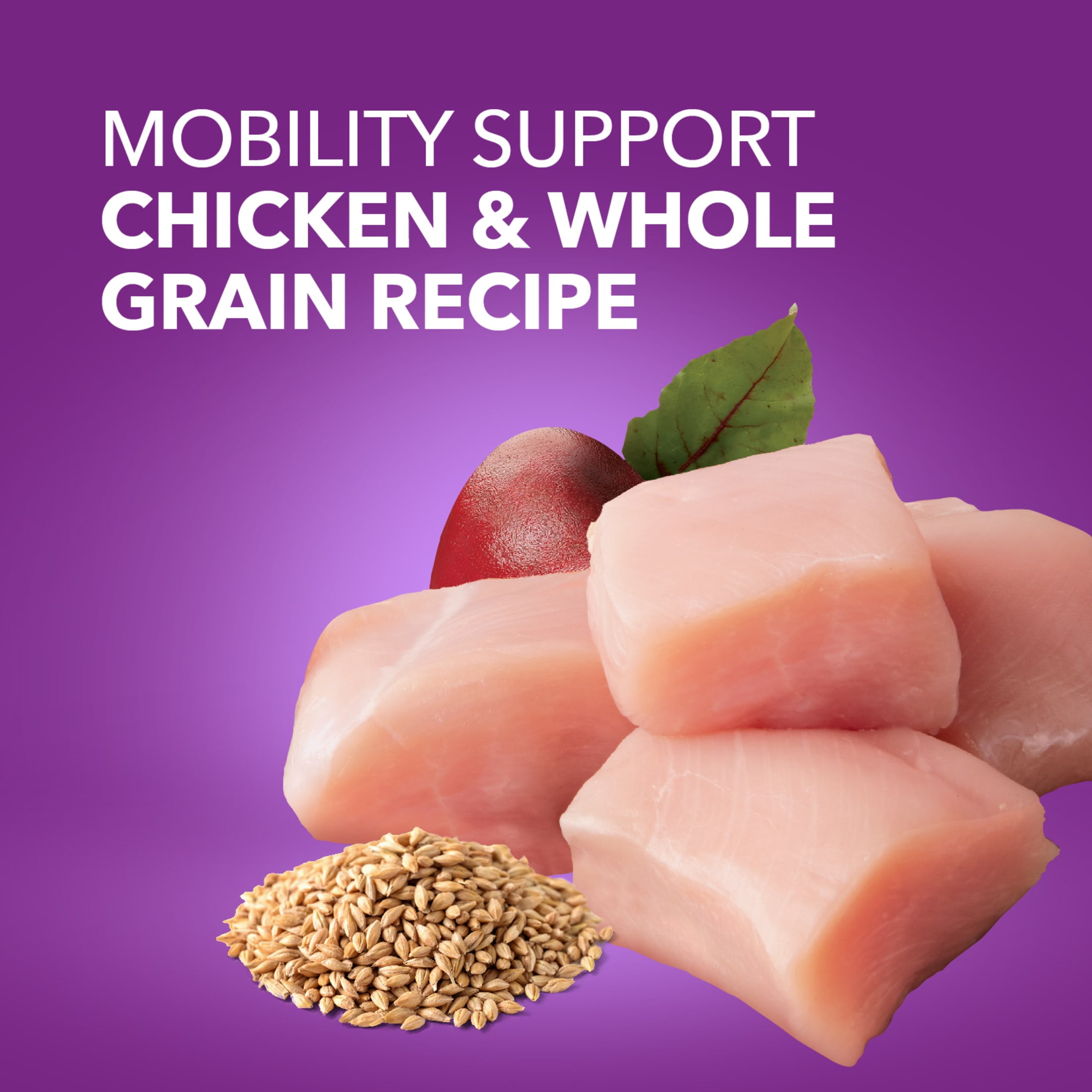 Iams Advanced Health Mobility Support Chicken & Whole Grain Recipe Adult Dry Dog Food, 6 Lb Bag